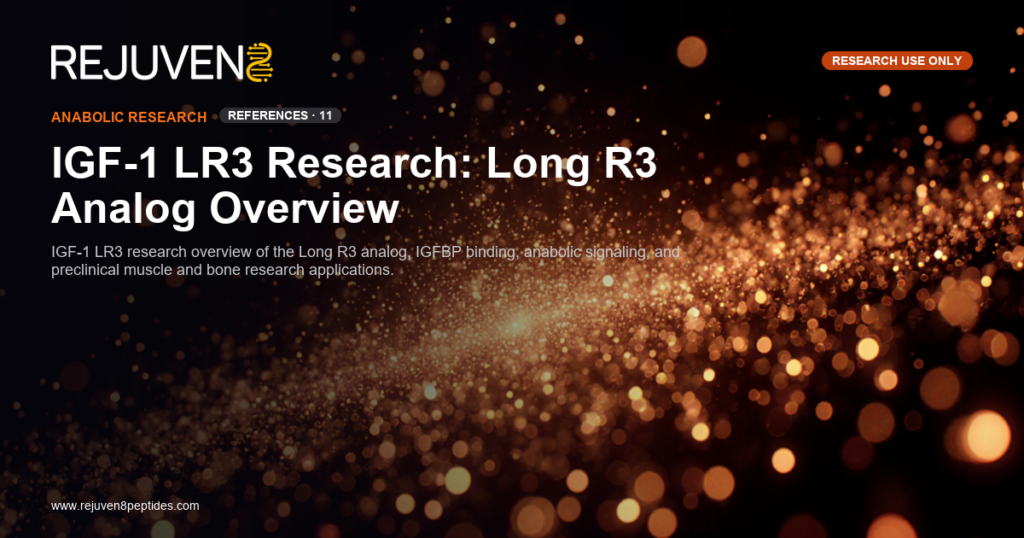 IGF-1 LR3 research peptide vial used in laboratory anabolic signaling studies